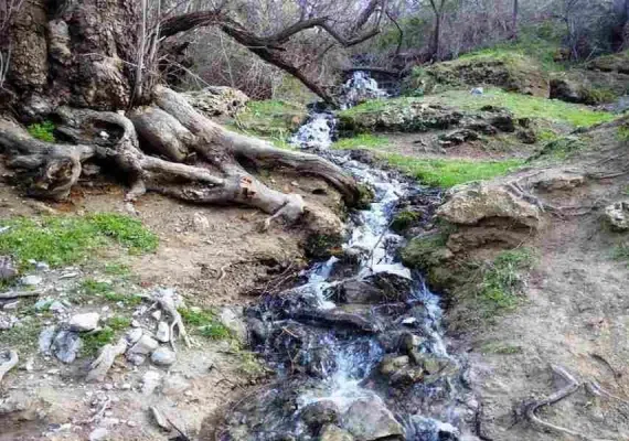 تفرجگاه امام قنبر