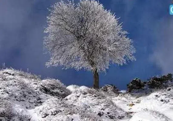 منطقه حفاظت&zwnj;شده قرخود