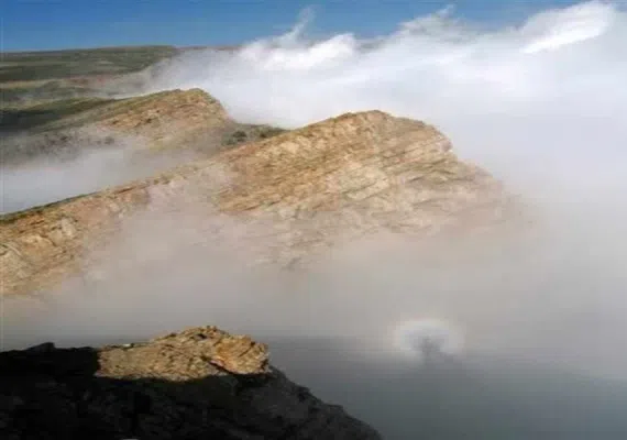 منطقه حفاظت شده ارس سیستان