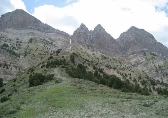 منطقه حفاظت شده ارس سیستان