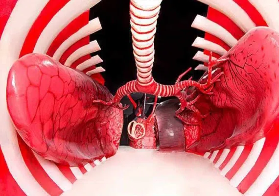 پارک علمی پروفسور بازیما