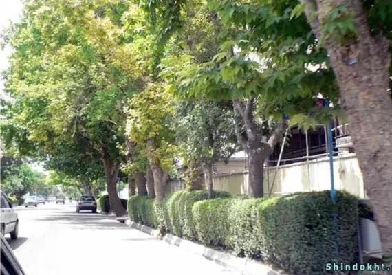 ﻣﺠﻤﻮﻋﮥ ﺳﺒﺰه ﻣﯿﺪان