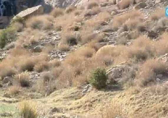 آبشار فیض آباد