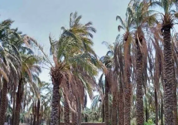 روستای بروات