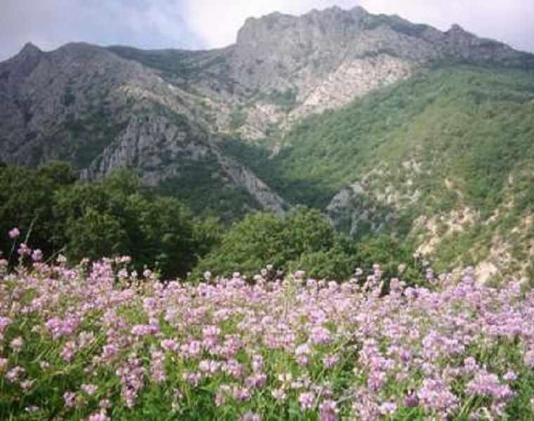 روستای رویین