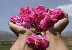 لاله زار کرمان کجاست