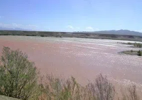 منطقه حفاظت شده بیدوییه