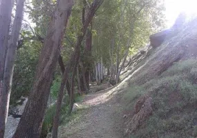 روستای سرتخت