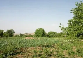 روستای جرجافک