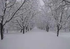 روستای ننیز علیا