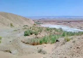 منطقه حفاظت شده چاه کومه