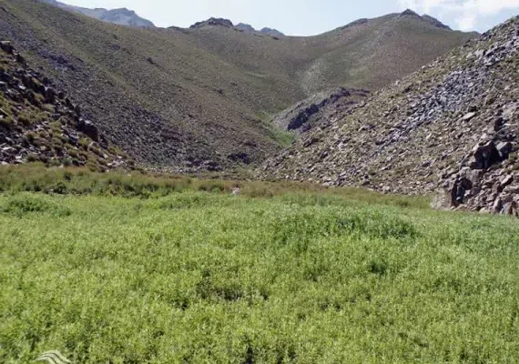 آبشار دیدنی چهرن رابر کرمان