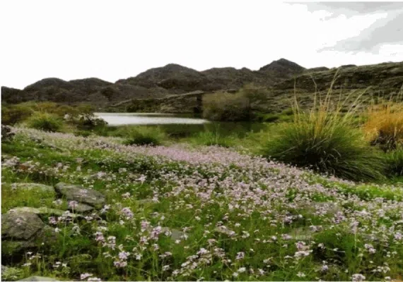 مجموعه سدهای گشکندر شهرستان کهنوج