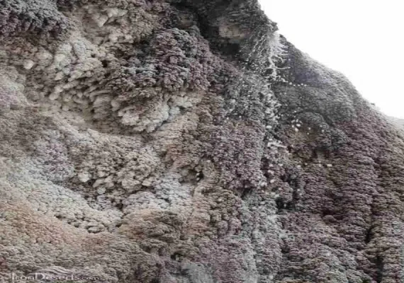 ابشار کوه نمک خرسین