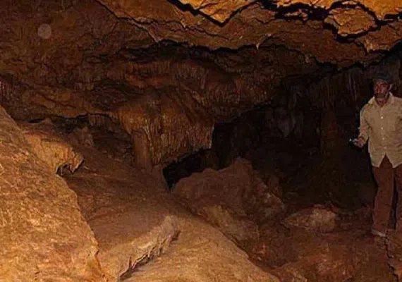 غارجفریز