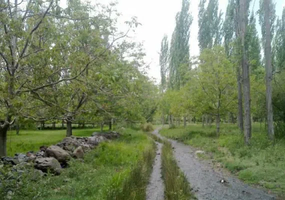 رودخانه چشمه عروس