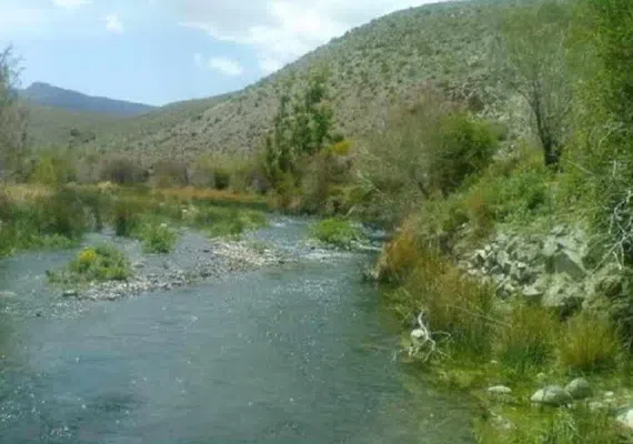 رودخانه چشمه عروس