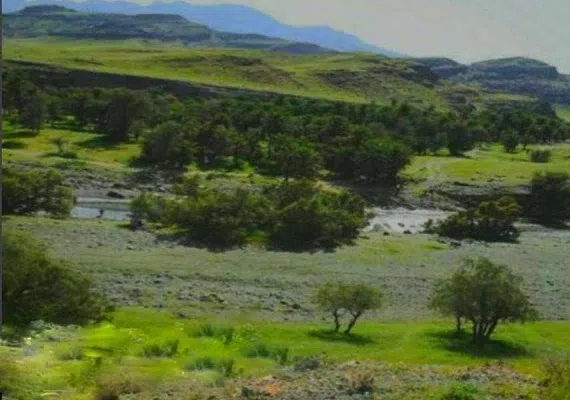 منطقه کوهستانی درباغ قلعه گنج