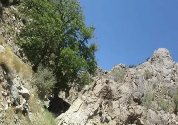 روستای سیه بنوئیه