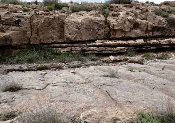 پلکان نادری