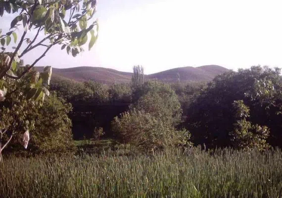 روستای ننیز علیا