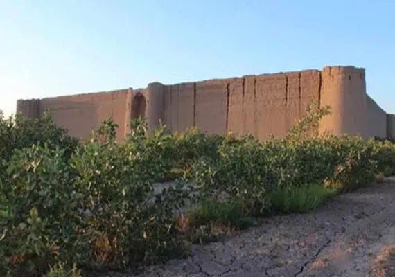 مسجد خواجه شریف انار