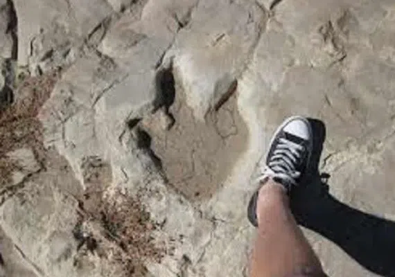 رد پای دایناسورها