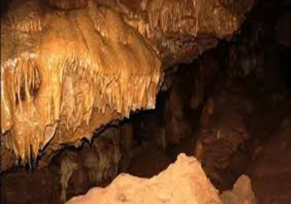 غارجفریز