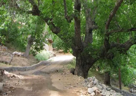 روستا کلدان