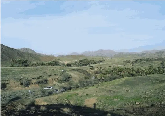 مجموعه سدهای گشکندر شهرستان کهنوج