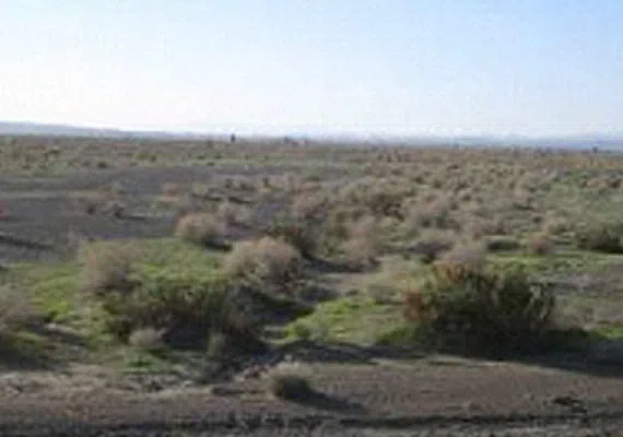 منطقه حفاظت شده مارز