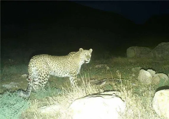 منطقه حفاظت شده جنگل خواجه