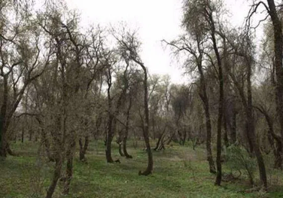 پناهگاه و حیات وحش مهروئیه