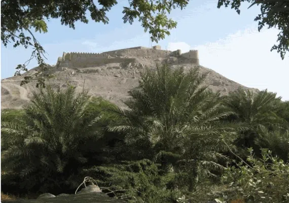 قلعه ضرغام یا سعید خان، قلعه تاریخی کهنوج