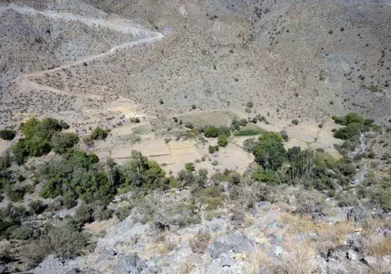 منطقه حفاظت شده زریاب