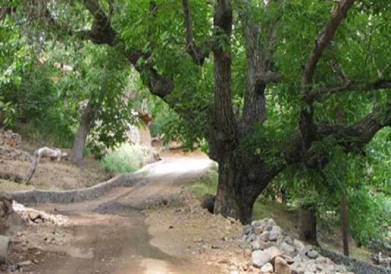 روستا پدم آباد