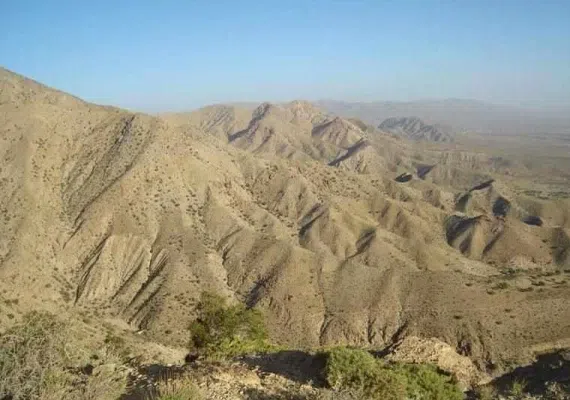 منطقه حفاظت شده زریاب