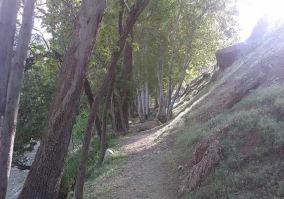 روستای سرتخت