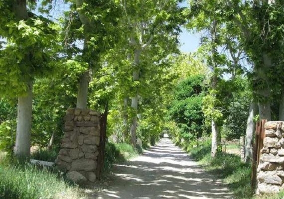 روستای سرتخت