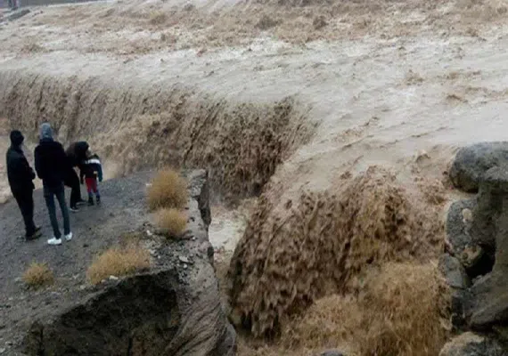 روستای زمین انجیر