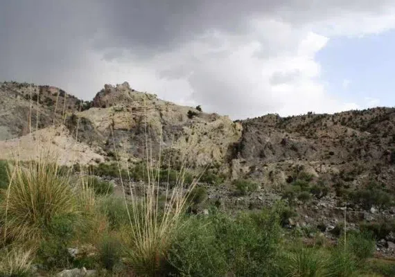 منطقه حفاظت شده سنگ مس