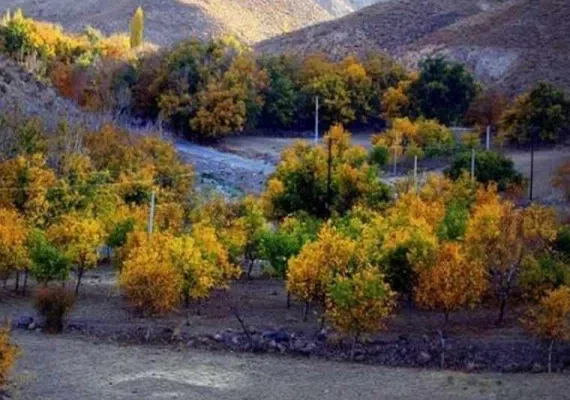 روستای بیدخوان بردسیر