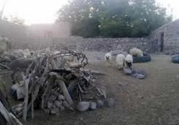 روستا پدم آباد