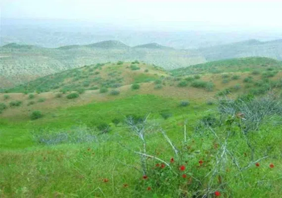 منطقه حفاظت شده جنگل خواجه