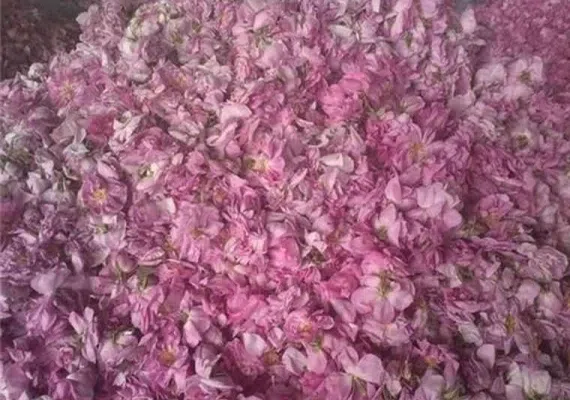 لاله زار کرمان کجاست