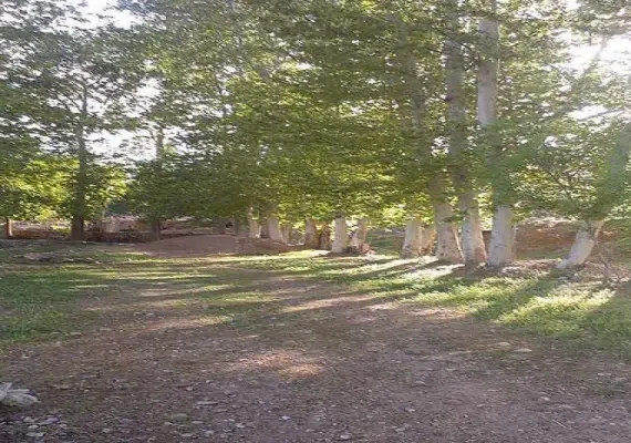 روستای سرتخت