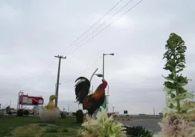 شهرستان مه ولات