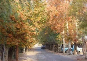 روستای نمونه گردشگری باغستان علیا