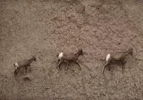 روستای استند جای دیدنی زیرکوه