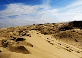 کلوتهای گلی نهبندان